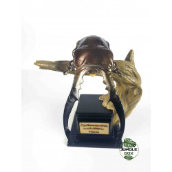 insect figurine