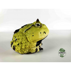 frog figurine