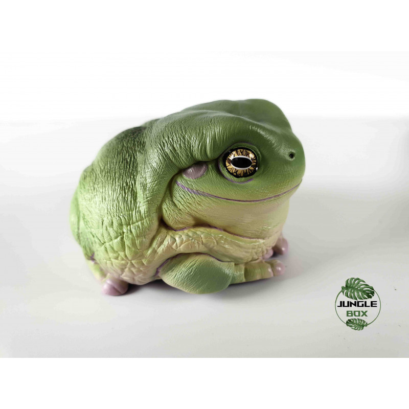 Figurine litoria caerulea