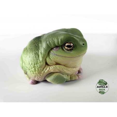 Figurine litoria caerulea