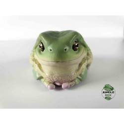 Figurine litoria caerulea