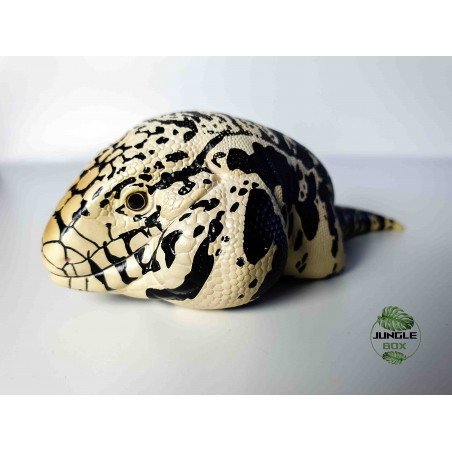 Figurine Téju