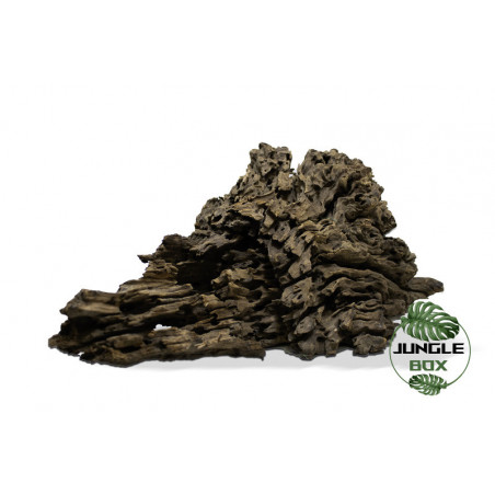 ROOT POOKANATUR M 30-50cm