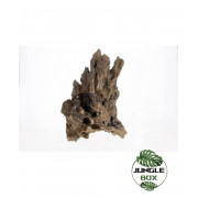 ROOT POOKANATUR M 30-50cm