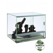 Glass TERRARIUM