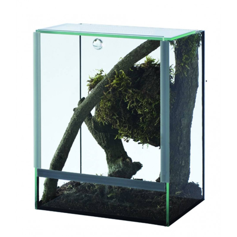 TERRARIUM spider insect 15x15x20 3mm TERRARIUM spider insect 15x15x20 3mm