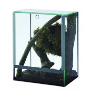 TERRARIUM spider insect 15x15x20 3mm
