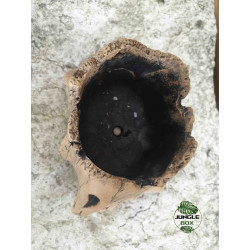 Pot faux bois M6 (11x6x9 cm)