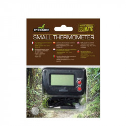 Small Thermometer