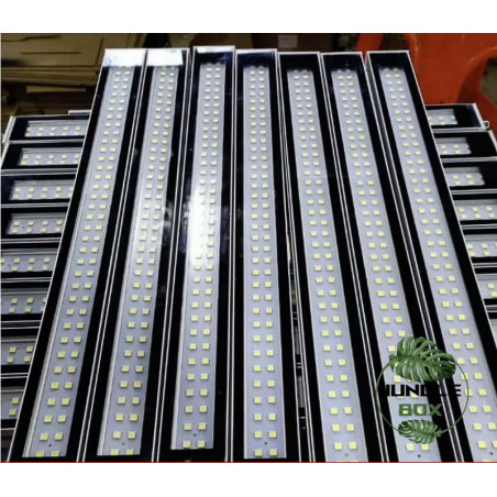 led lamp