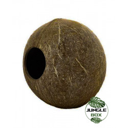noix de coco
