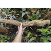 Ces lianes naturelles sont idéales pour décorer votre terrarium.