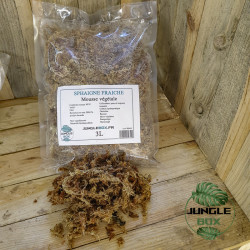 Sphaigne du Chili – Substrat Retenteur & Aéré | JungleBox