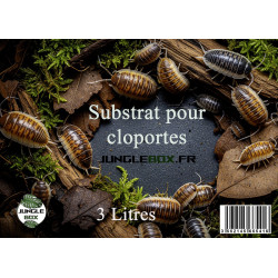 Substrat naturel pour cloportes – Mélange bioactif pour terrariums | J
