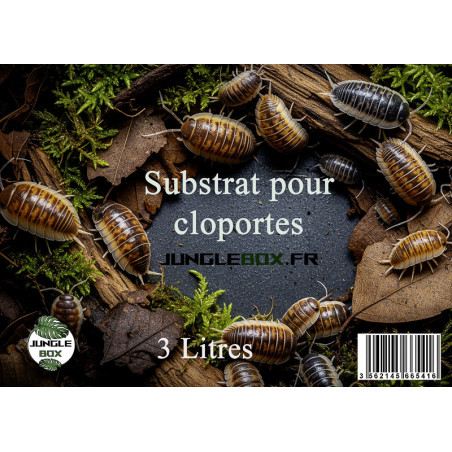 Substrat naturel pour cloportes – Mélange bioactif pour terrariums | J