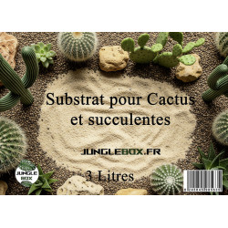 Substrat pour succulente et cactus 3L