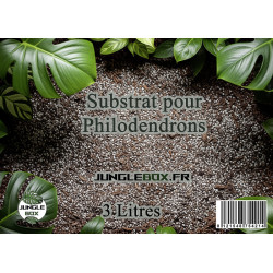 Substrat spécial Philodendron 3L