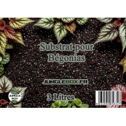 Substrat spécial Bégonia 3L