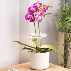 Lampe horticole LED – Éclairage idéal pour orchidées et plantes d’inté