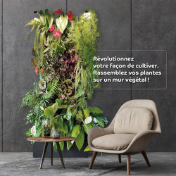 Mur végétalisé Bioponis avec éclairage – Kit sans plantes