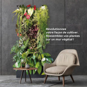 Mur végétalisé Bioponis avec éclairage – Kit sans plantes