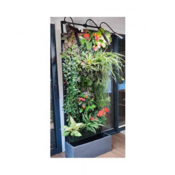 Mur végétalisé avec éclairage - non planté