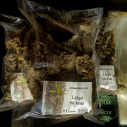 Liège en vrac 9 L – Substrat naturel pour terrariums & orchidées | Jun