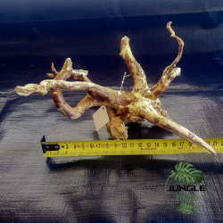 Racine Araignée (Spider Wood) – Décor naturel pour aquarium, terrarium