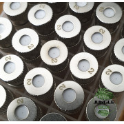 Buse de Brumisation 2 mm – Lot de 2 pièces