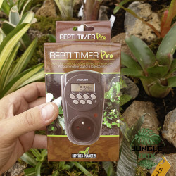 timer reptiles planet