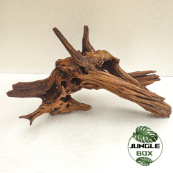 Racine SinkNature 40-60 cm – Décoration naturelle pour aquarium