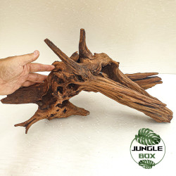 Racine SinkNature 40-60 cm – Décoration naturelle pour aquarium