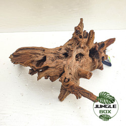 Racine SinkNature 40-60 cm – Décoration naturelle pour aquarium
