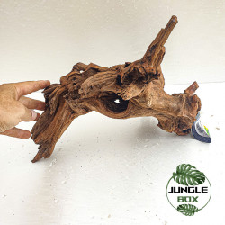Racine SinkNature 40-60 cm – Décoration naturelle pour aquarium