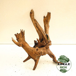 Racine SinkNature 40-60 cm – Décoration naturelle pour aquarium