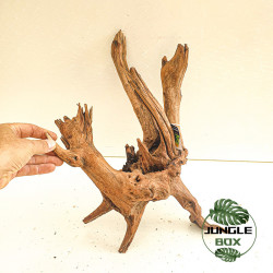Racine SinkNature 40-60 cm – Décoration naturelle pour aquarium