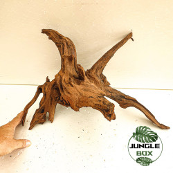 Racine SinkNature 40-60 cm – Décoration naturelle pour aquarium