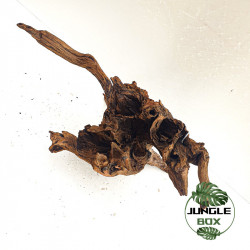Racine SinkNature 40-60 cm – Décoration naturelle pour aquarium