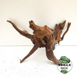 Racine SinkNature 40-60 cm – Décoration naturelle pour aquarium