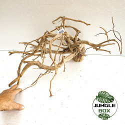 Natural Spider Wood  T4