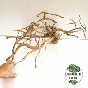 Natural Spider Wood  T4