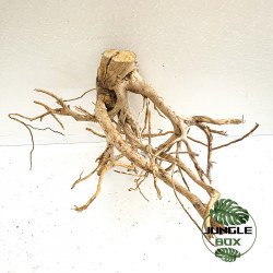 Natural Spider Wood  T4