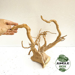 Natural Spider Wood  T4