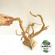 Natural Spider Wood  T4