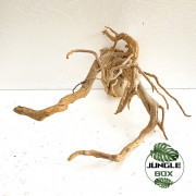 Natural Spider Wood  T4