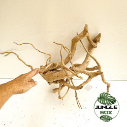 Natural Spider Wood  T4