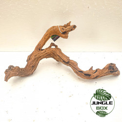 Racine Sinknature 20-45 cm – Décoration naturelle pour terrarium