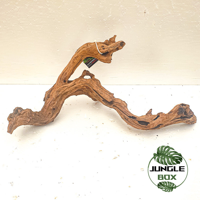 Racine Sinknature 20-45 cm – Décoration naturelle pour terrarium