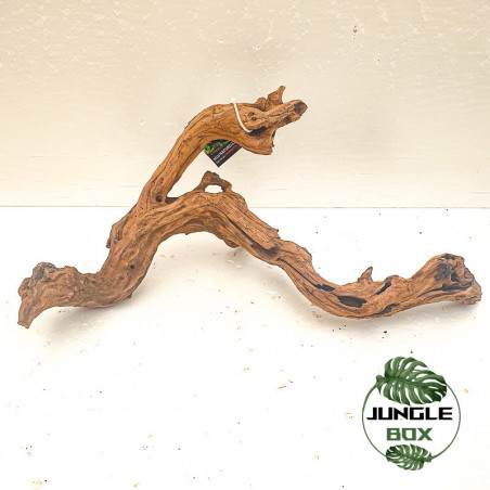 Racine Sinknature 20-45 cm – Décoration naturelle pour terrarium