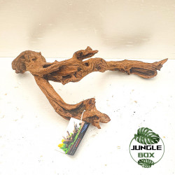Racine Sinknature 20-45 cm – Décoration naturelle pour terrarium